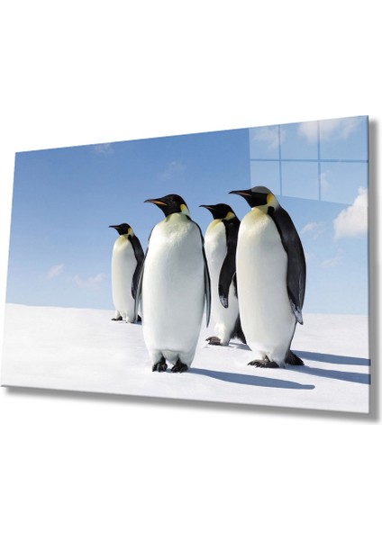 Penguenler Cam Tablo fiyatları