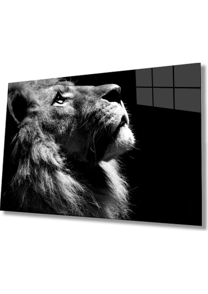 Aslan Cam Tablo
