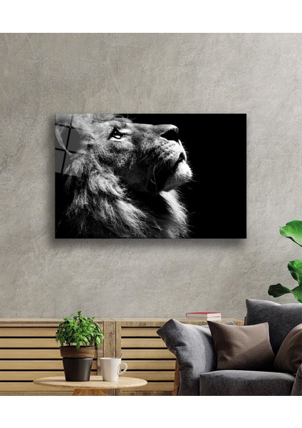 Aslan Cam Tablo