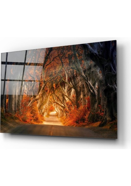 Orman Cam Tablo fiyatları