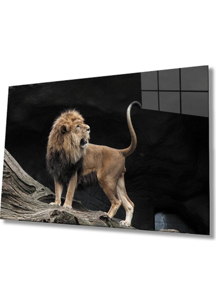 Aslan Cam Tablo