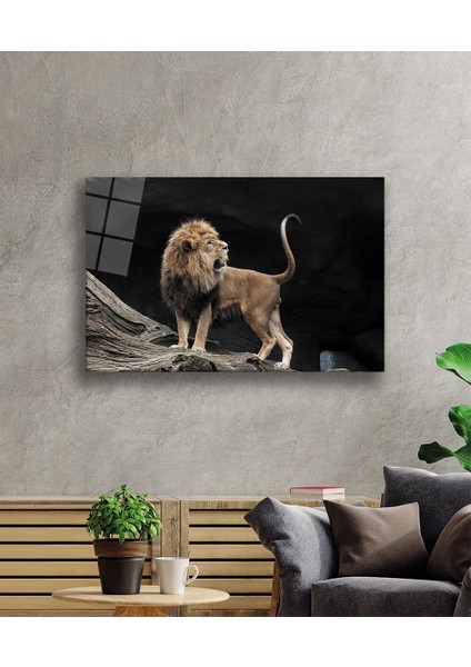 Aslan Cam Tablo