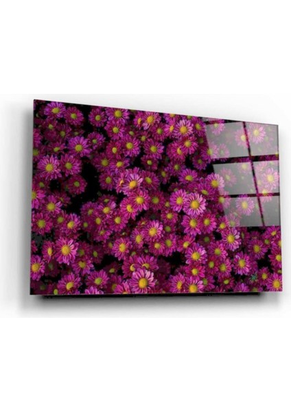 Çiçek Cam Tablo fiyatları