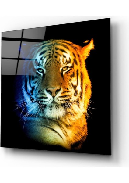 Kaplan Cam Tablo fiyatları