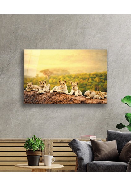 Aslan Cam Tablo fiyatları