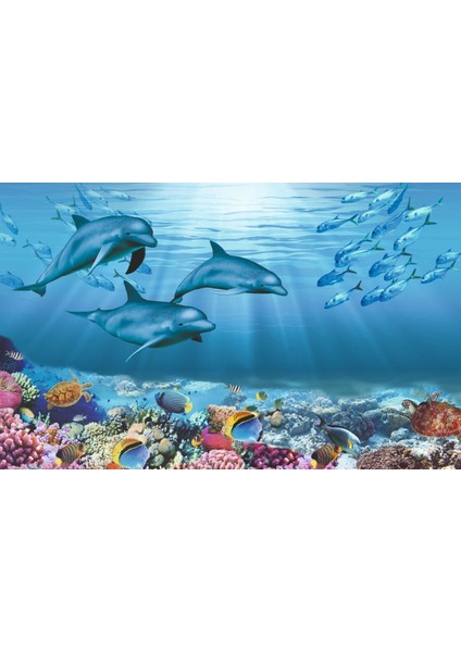 Su Alti Canlilari fiyatları