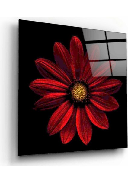 Çiçek Cam Tablo fiyatları