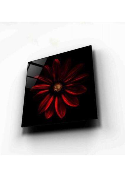 Çiçek Cam Tablo fırsatları