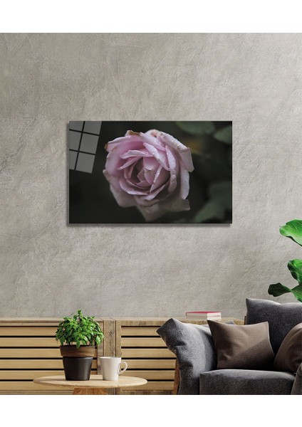 Gül Cam Tablo fiyatları