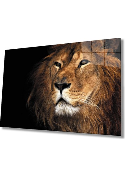 Aslan Cam Tablo