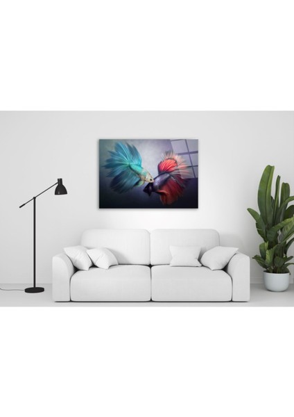 Balıklar Cam Tablo fiyatları