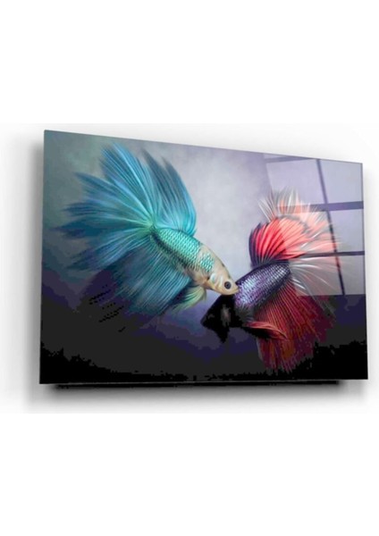 Balıklar Cam Tablo modelleri