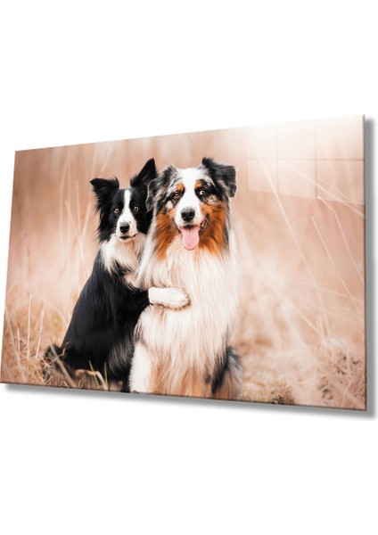 Köpekler Cam Tablo