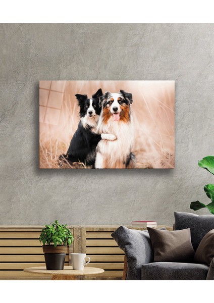 Köpekler Cam Tablo fiyatları
