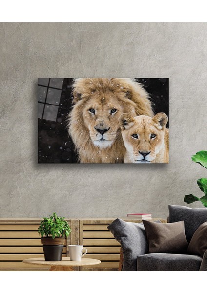 Aslan Cam Tablo
