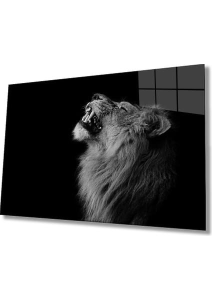 Aslan Cam Tablo