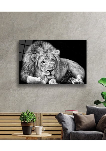 Aslan Cam Tablo fiyatları