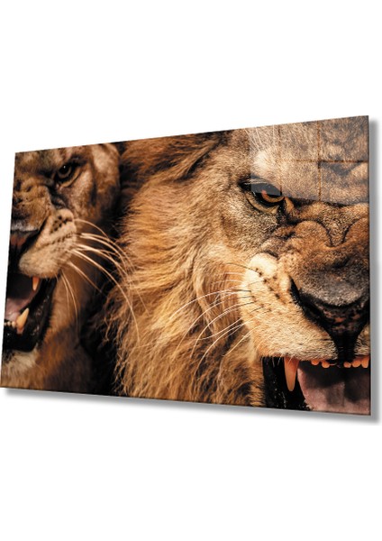 Aslan Cam Tablo