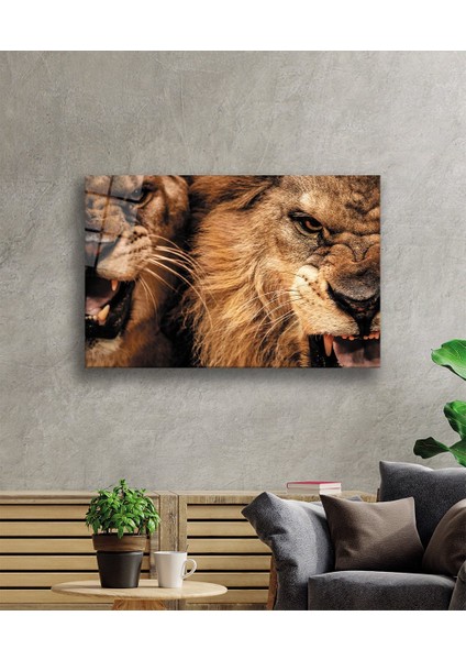 Aslan Cam Tablo