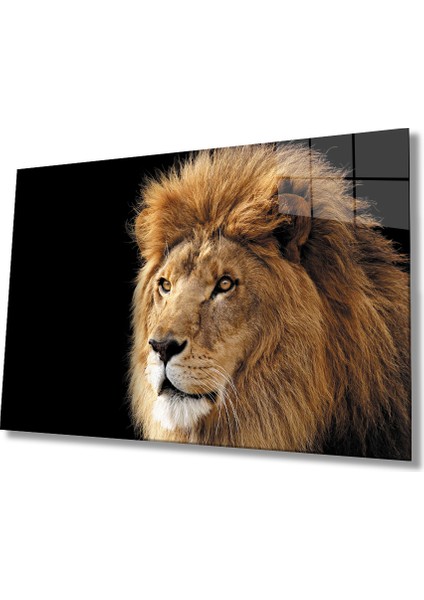 Aslan Cam Tablo