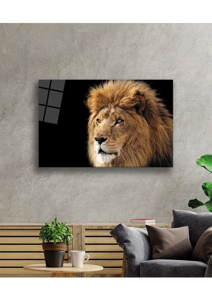 Aslan Cam Tablo fiyatları