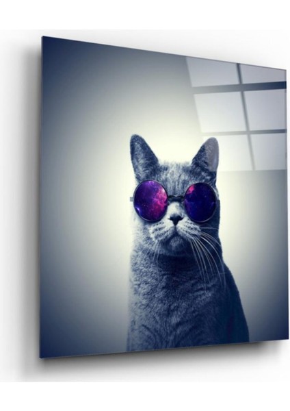 Kedi Cam Tablo