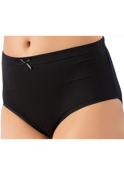 2 Adet Yüzde Yüz Pamuk Yüksek Bel Kadın Kilot