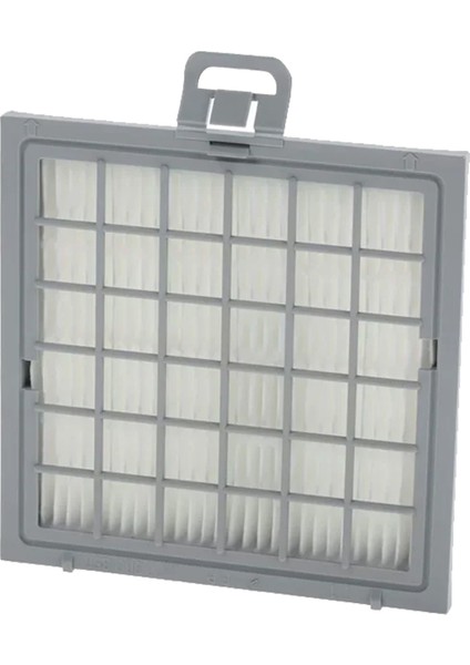 Bosch Bsg 82222 Ergomaxx'x Süpürge Hepa Filtresi