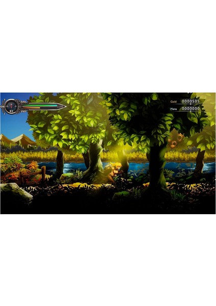 Sword Of The Vagrant Nintendo Switch