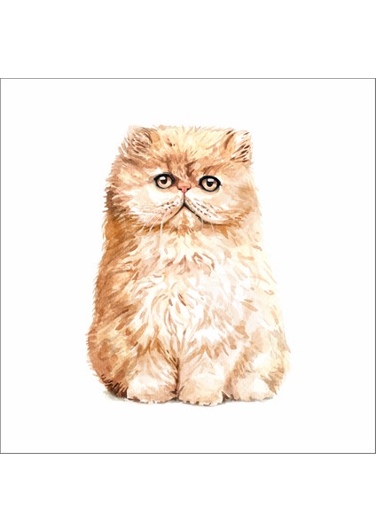 Sevimli Kedi Sticker 5 Duvar Sticker 30X25 cm