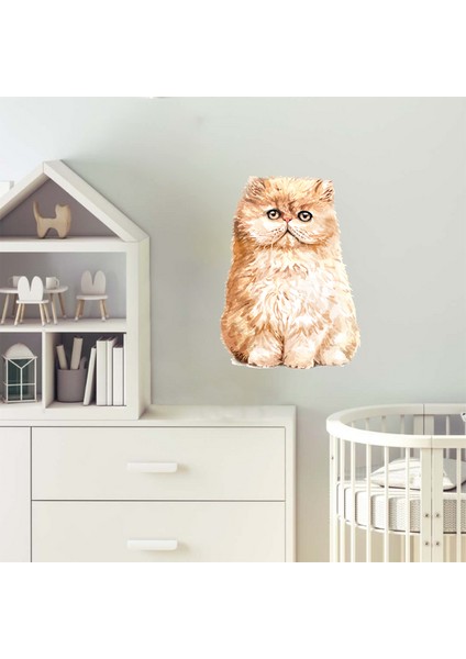 Sevimli Kedi Sticker 5 Duvar Sticker 30X25 cm