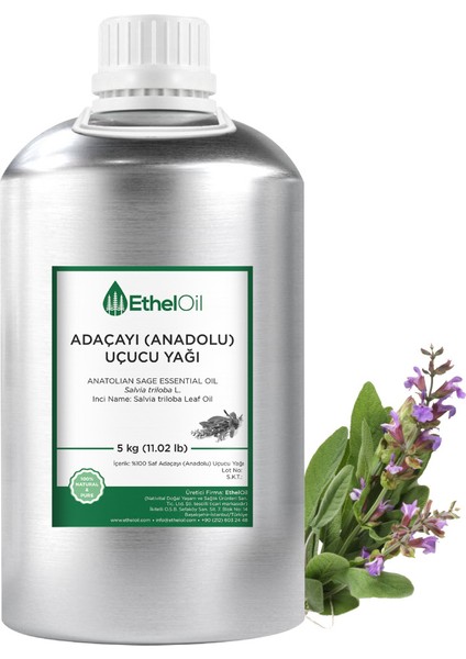 Adaçayı (Anadolu) Yağı 5 kg