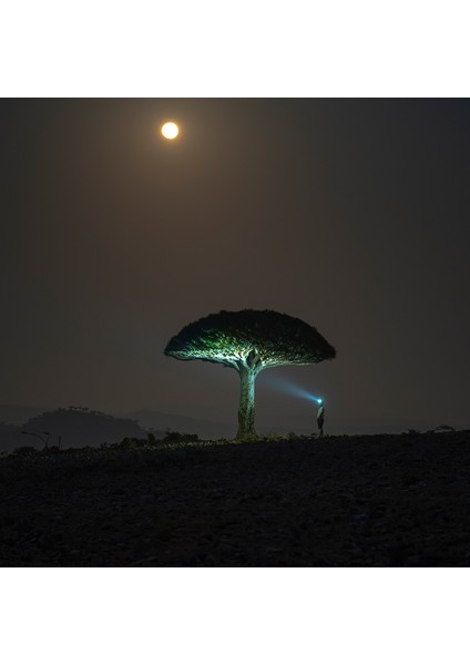 Ledlenser HF6R Signature - Sand fırsatları