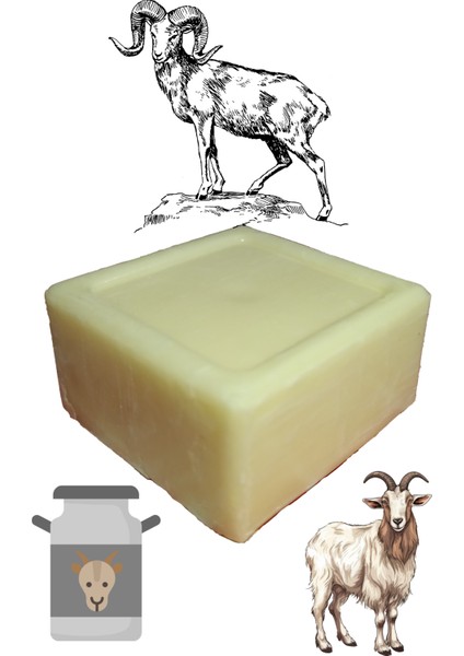 Keçi Sütü Sabunu 125 gr Keçi Sütü Sabunu 6X6X3 cm Sabun