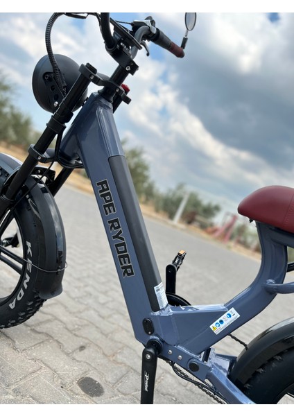 MD10 750W Elektrikli Bisiklet modelleri