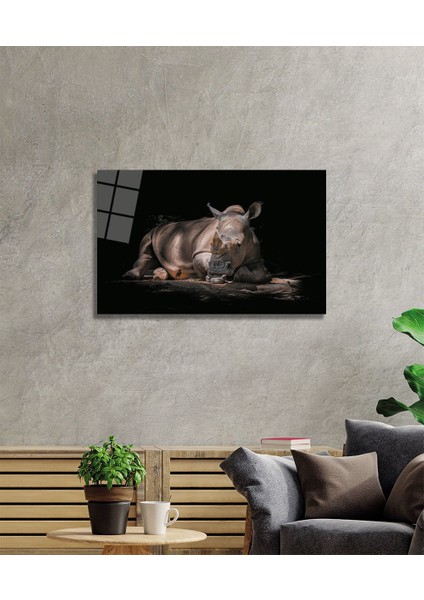 Gergedan Cam Tablo fiyatları