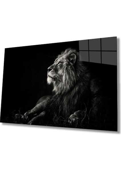 Aslan Cam Tablo
