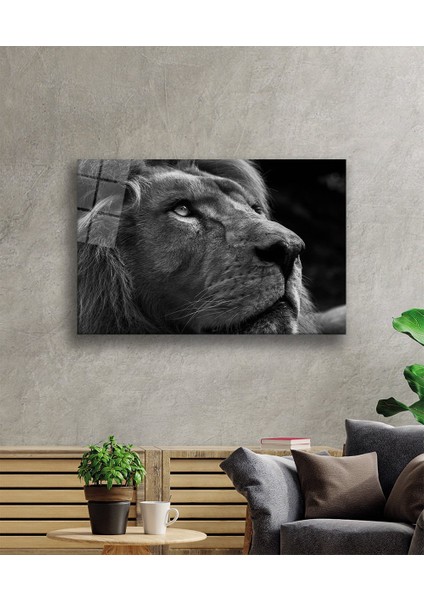 Aslan Cam Tablo