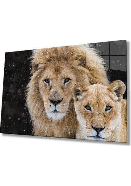 Aslan Cam Tablo