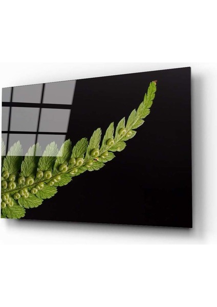 Yaprak Cam Tablo