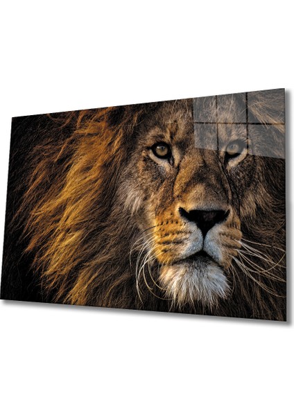Aslan Cam Tablo