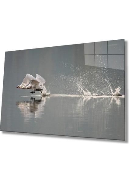 Kuğu Cam Tablo