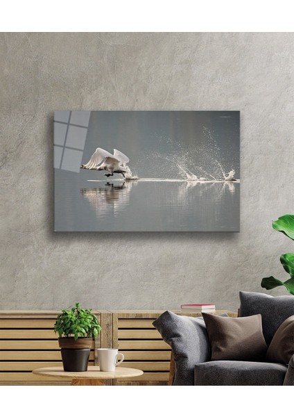 Kuğu Cam Tablo fiyatları