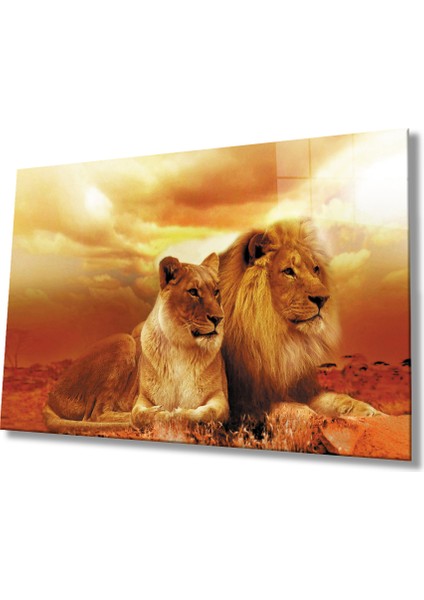 Aslan Cam Tablo
