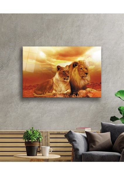 Aslan Cam Tablo fiyatları