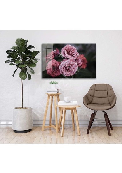 Doğa Cam Tablo fiyatları