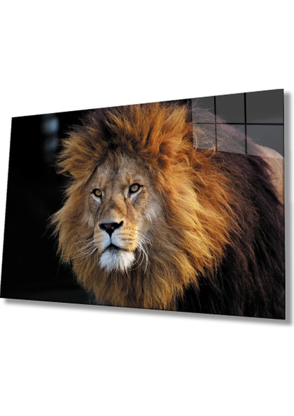 Aslan Cam Tablo