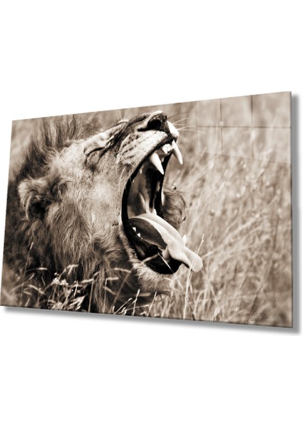 Aslan Cam Tablo