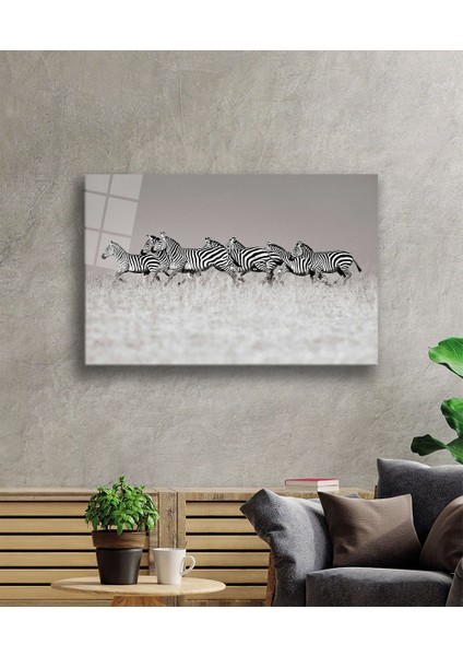 Zebra Cam Tablo fiyatları