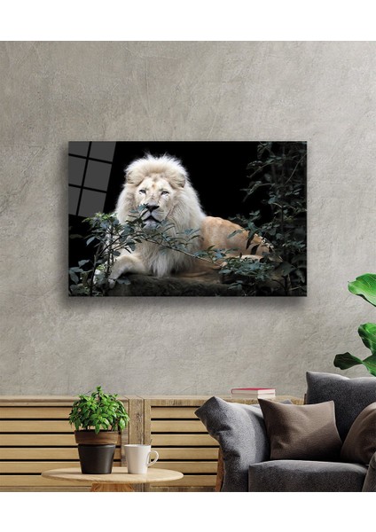 Aslan Cam Tablo fiyatları